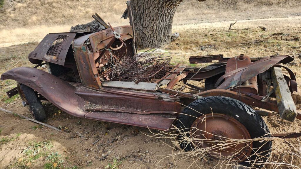 scrap car in back yard